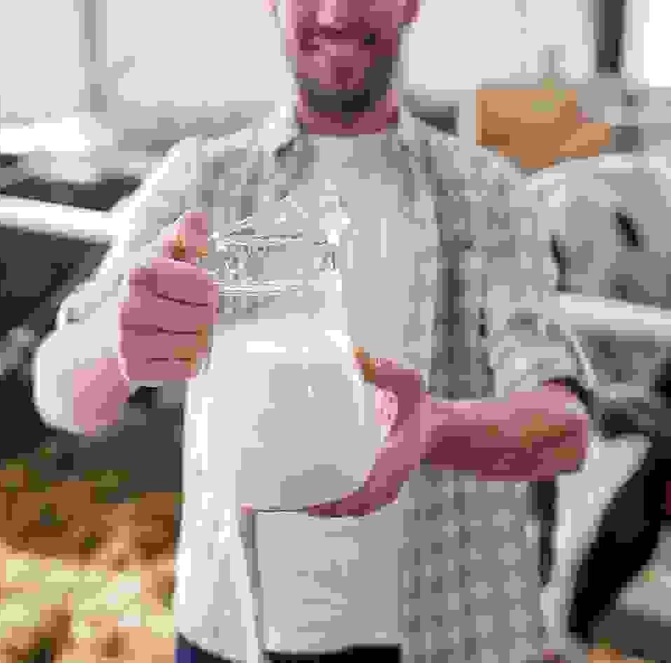 Aenean vitae enim rhoncus